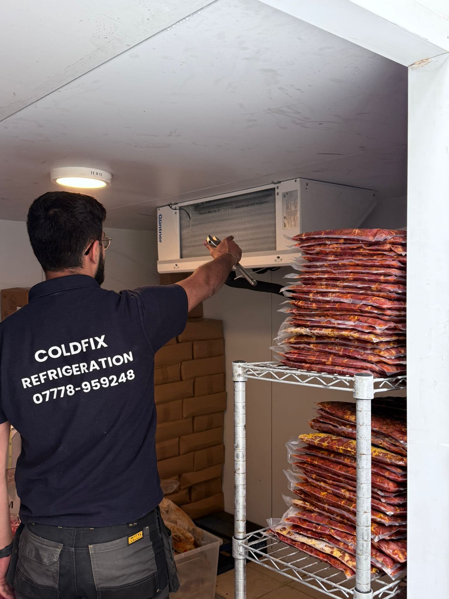 Freezer Fix